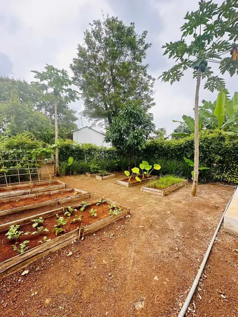 Main-QUỸ ĐẤT VÀNG 400M² - LÝ TƯỞNG KINH DOANH HOMESTAY NGHỈ DƯỠNG CẬN BIỂN-2