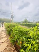 Thumb-QUỸ ĐẤT VÀNG 400M² - LÝ TƯỞNG KINH DOANH HOMESTAY NGHỈ DƯỠNG CẬN BIỂN-4