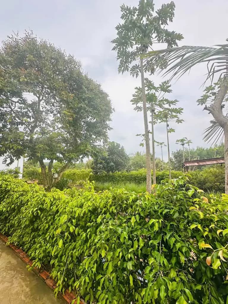 Main-QUỸ ĐẤT VÀNG 400M² - LÝ TƯỞNG KINH DOANH HOMESTAY NGHỈ DƯỠNG CẬN BIỂN-1