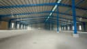 Thumb-Cho thuê 5000m2 kho xưởng Bàu Bàng Bình Dương ,giá 65k /m2 ,Giấy tờ đầy đủ , đường cont-2