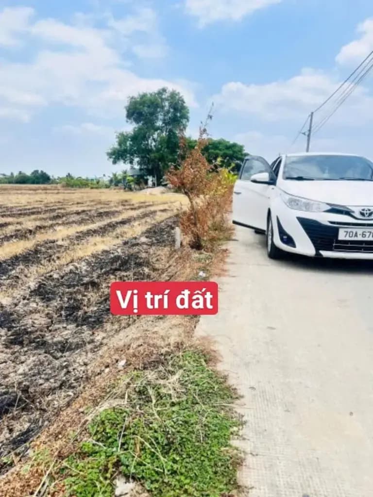 Main-Đất full 252 thổ cư ngần chợ gò đen đường thông về kcn chillu-3