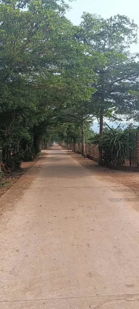 BÁN LÔ ĐẤT 450M² – ĐẮK ĐOA, GIA LAI – CHỈ 900 TRIỆU