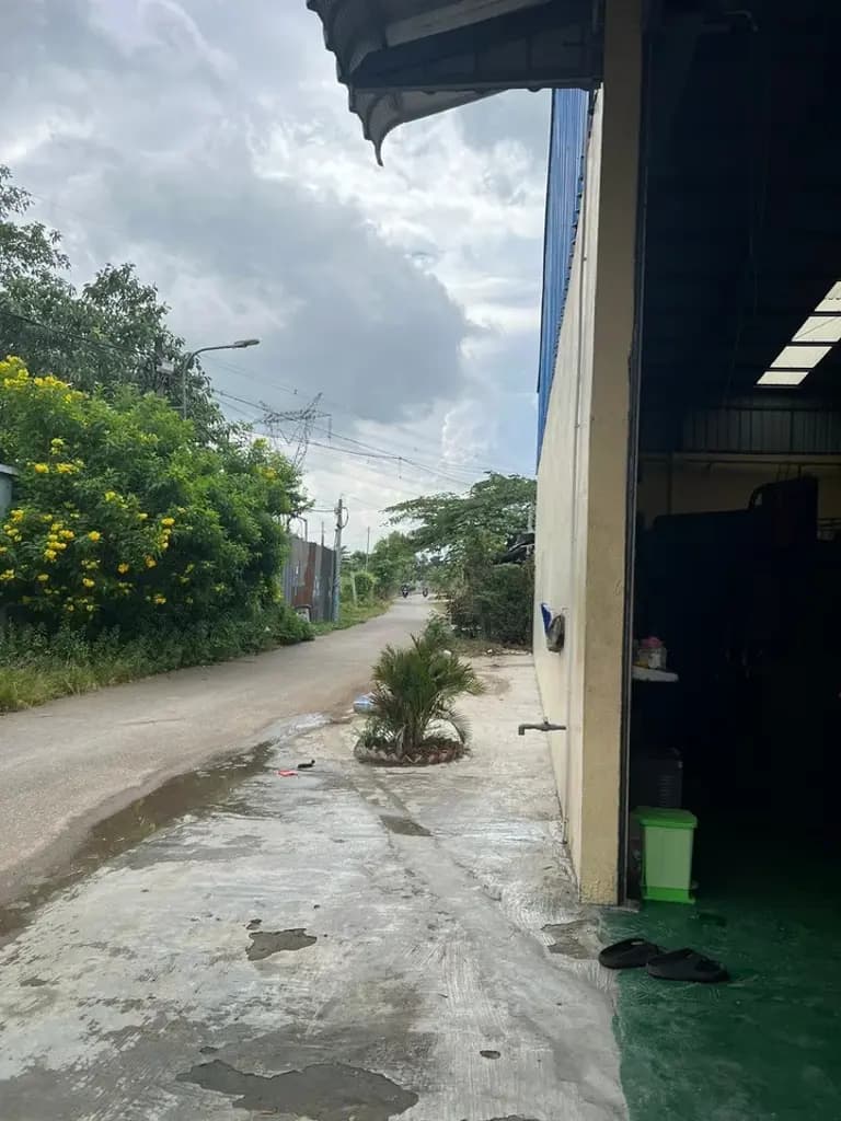 Main-CC cho thuê xưởng 2100m2 giá 180 triệu (còn TL) tại Đường Trần Văn Giàu Xã Tân Vĩnh Lộc TP. Hồ Chí Minh-0