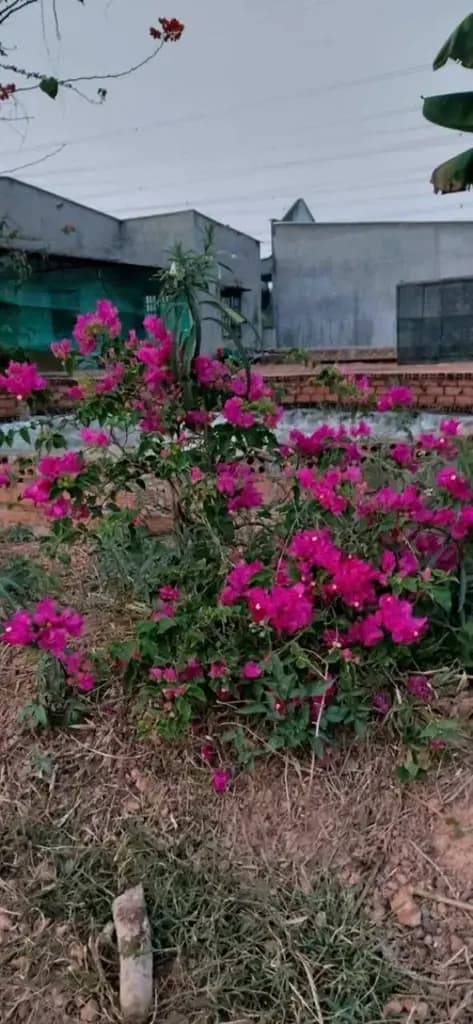 Main-Cho thuê Đất 4200m2 có sẵn 300 m2 thổ cư giá 6 triệu tại Đường ĐT 767 Xã Vĩnh Tân Huyện Vĩnh Cửu Đồng Nai-3