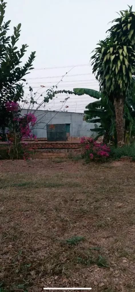 Main-Cho thuê Đất 4200m2 có sẵn 300 m2 thổ cư giá 6 triệu tại Đường ĐT 767 Xã Vĩnh Tân Huyện Vĩnh Cửu Đồng Nai-4