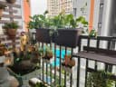 Thumb-NÓNG SỐT NHẤT SAFIRA, CĂN HỘ 1PN+1 VỊ TRÍ ĐẸP VIEW THOÁNG RỘNG 3.1 TỶ FULL NỘI THẤT-3