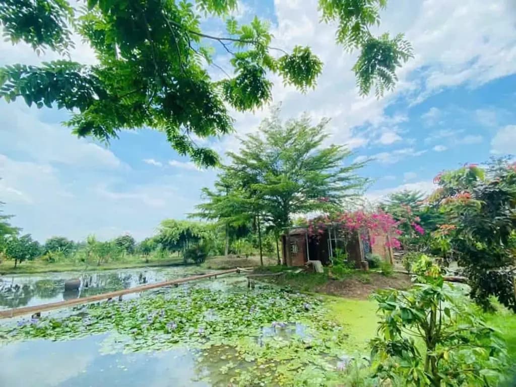 Main-NHÀ VƯỜN KHU NGHĨ DƯỠNG CÓ CÂY ĂN TRÁI CÓ-1