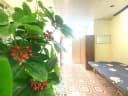 Thumb-🏡 Nhà số 21 ngõ 114 Nguyễn Đạo An, Phú diễn. Bắc Từ Liêm trống phòng 201 vskk ở 1/9 giá 2,4tr-2