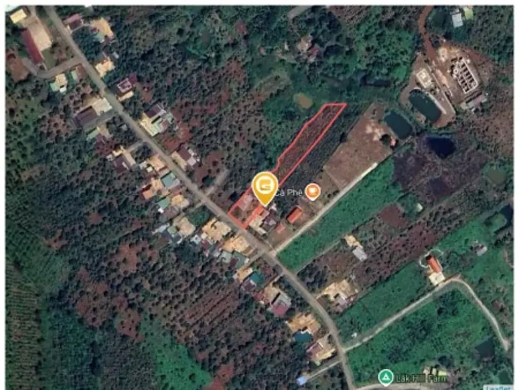 Main-Bán nhà và rẫy, diện tích 2229.1m² có sẵn 400m² thổ cư ngang 20m hạ giá bán nhanh 2tỷ550 tại Xã Ea Drông-1