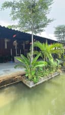 Thumb-Cho thuê Mặt bằng kinh doanh 1500m2 giá 70 triệu tại Đường Lý Thái Tổ Phường Hưng Phú Quận Cái Răng Cần Thơ-5