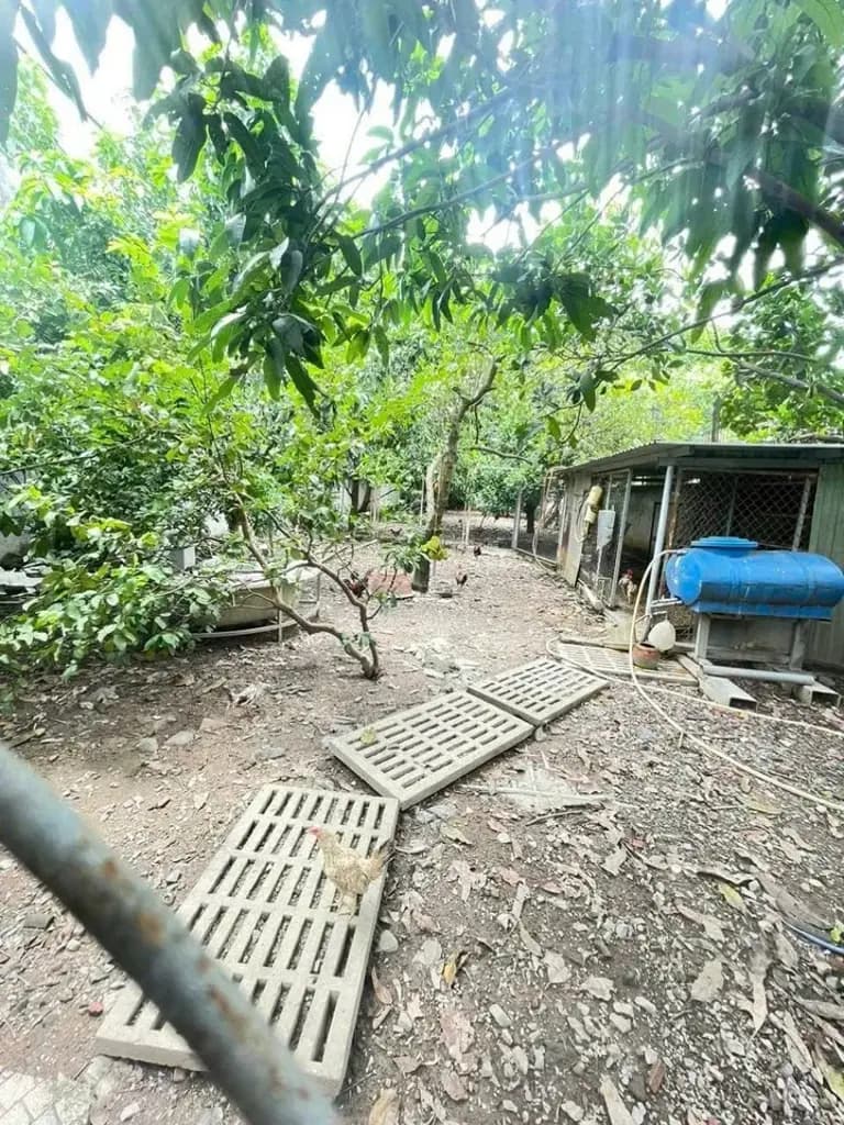 Main-Cho thuê Nhà riêng 1000m2 giá 20 tr, 3PN, Phường Trảng Dài Đồng Nai, Ở và kinh doanh-4