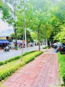 Thumb-❇️❇️ Cho Thuê Biệt Thự Mặt Tiền: 139A-139B Pasteur - Quận 3 - 16x28m, 3 tầng-5