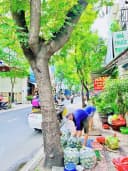 Thumb-❇️❇️ Cho Thuê Nhà GÓC 2MT: 469-471-473 Bà Hạt - Quận 10 - 10x10m, 8 tầng-2