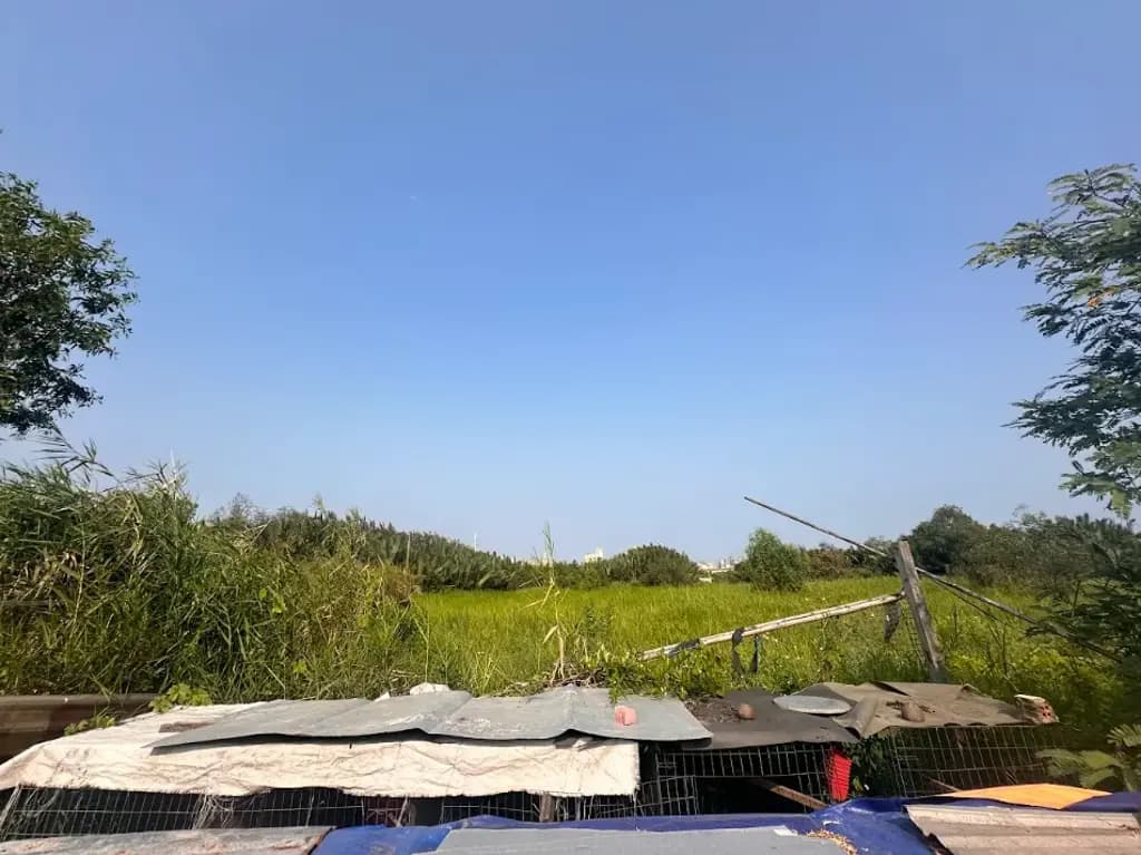 Main-Bán Đất 10923m2 có sẵn 2210 m2 thổ cư giá 135 tỷ tại Đường Nguyễn Văn Tạo Xã Long Thới Huyện Nhà Bè TP. Hồ Chí Minh-1
