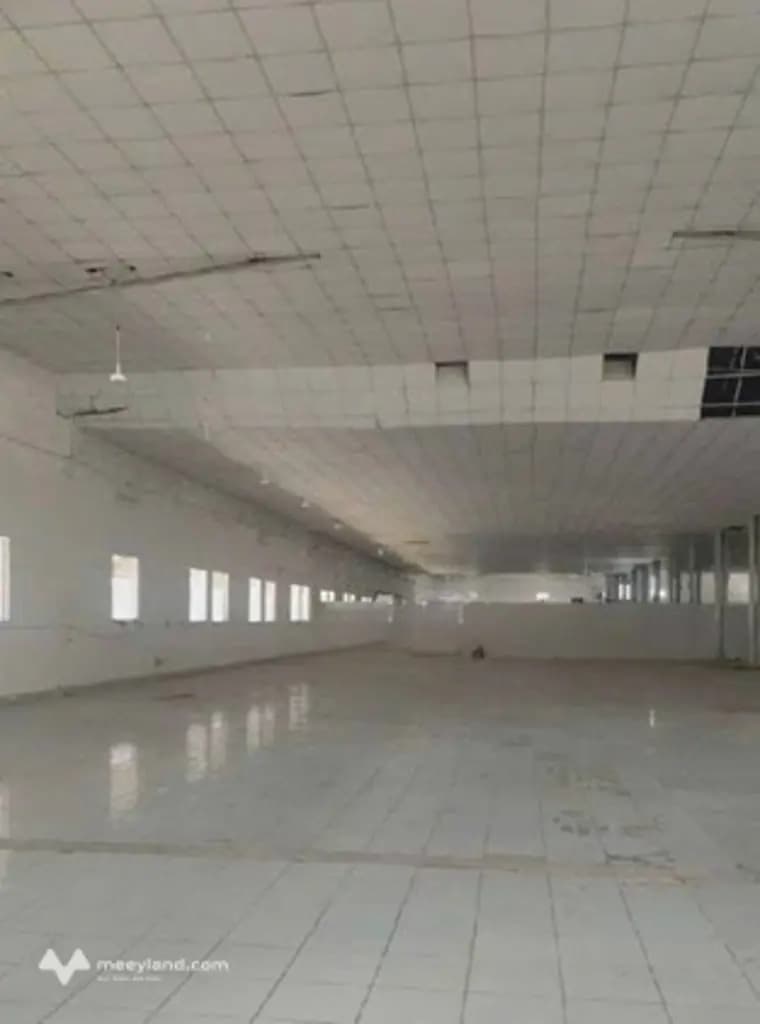 Main-Cho thuê kho, văn phòng 770m2, 1700m2, 2500m2 Phan Huy Ích, Tân Bình-5