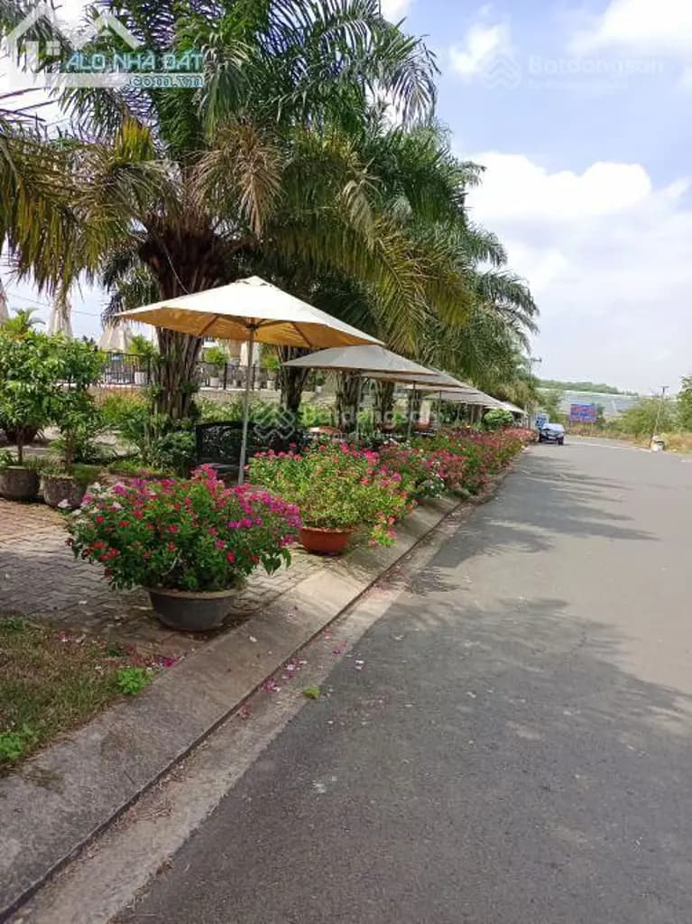 Main-Duy nhất 1 lô kdc phước thái mặt tiền ql51, dt 90m2 5x18m giá tốt chỉ 1,590 tỷ bao thuế phí sổ sẵn-2
