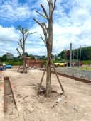 Thumb-Bán Đất 230m2 có sẵn 60 m2 thổ cư giá 685 triệu tại Thị trấn Chơn Thành Thị xã Chơn Thành Bình Phước-3
