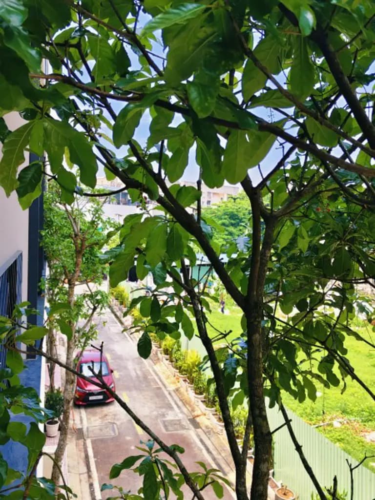 Main-The Sholi, nhà phố 356m2 sử dụng, ưu đãi 3,4 tỷ.-2