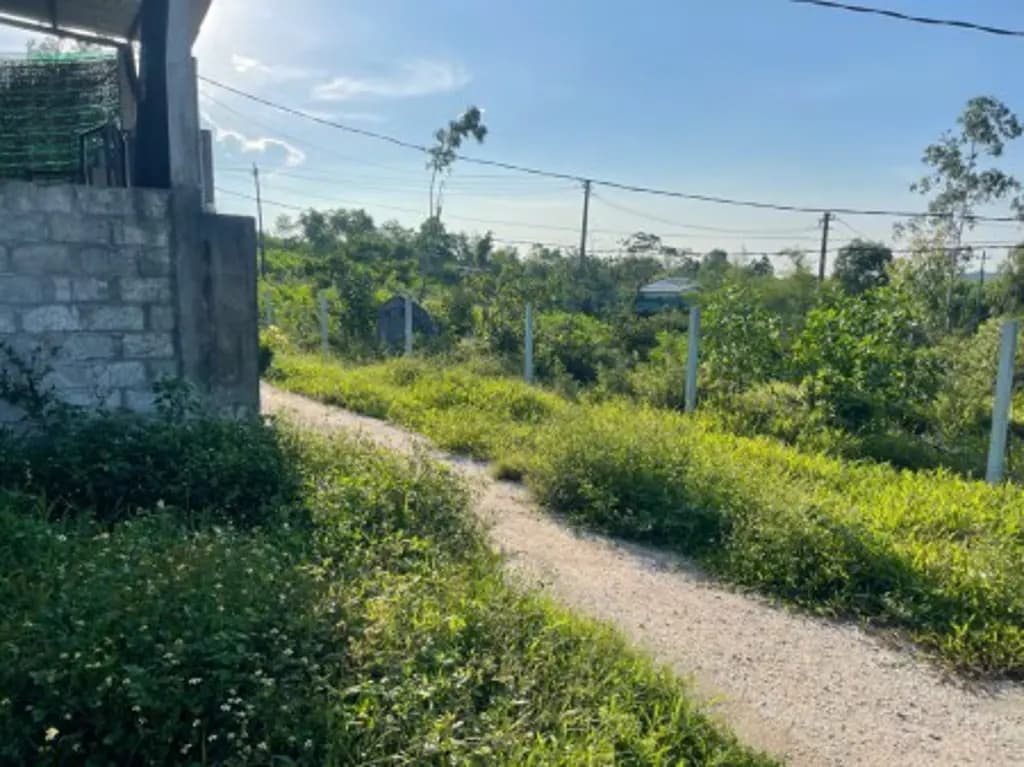 Main-Bán đất 100m² Kiệt 124 Tôn Thất Sơn – Vị trí đẹp, khu dân cư ổn định-0