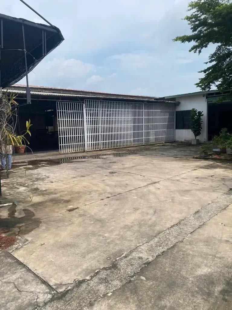 Main-Cho thuê Kho, nhà xưởng 1000m2 giá 55 triệu tại Đường Lê Văn Tách Phường Tương Bình Hiệp Thành phố Thủ Dầu Một Bình Dương-1