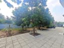 Thumb-BÁN BIỆT THỰ ĐƠN LẬP MẶT TIỀN ĐẸP – KỀ BÊN VINCOM SAIGONPARK, KQHLG-1