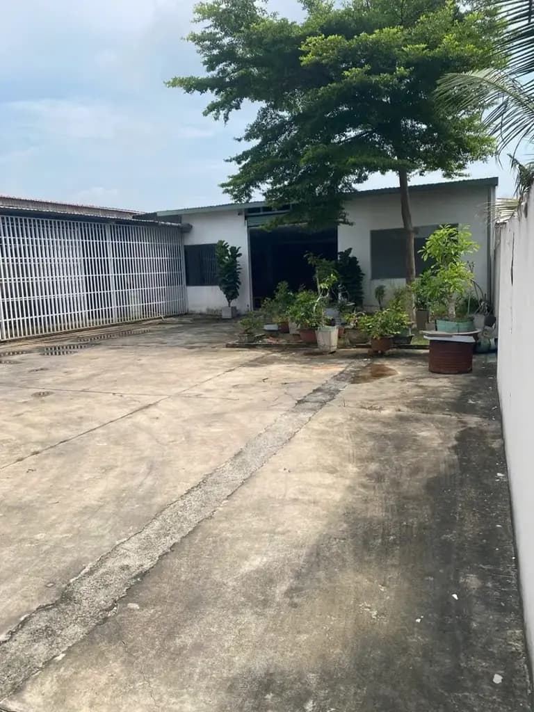 Main-Cho thuê Kho, nhà xưởng 1000m2 giá 55 triệu tại Đường Lê Văn Tách Phường Tương Bình Hiệp Thành phố Thủ Dầu Một Bình Dương-2
