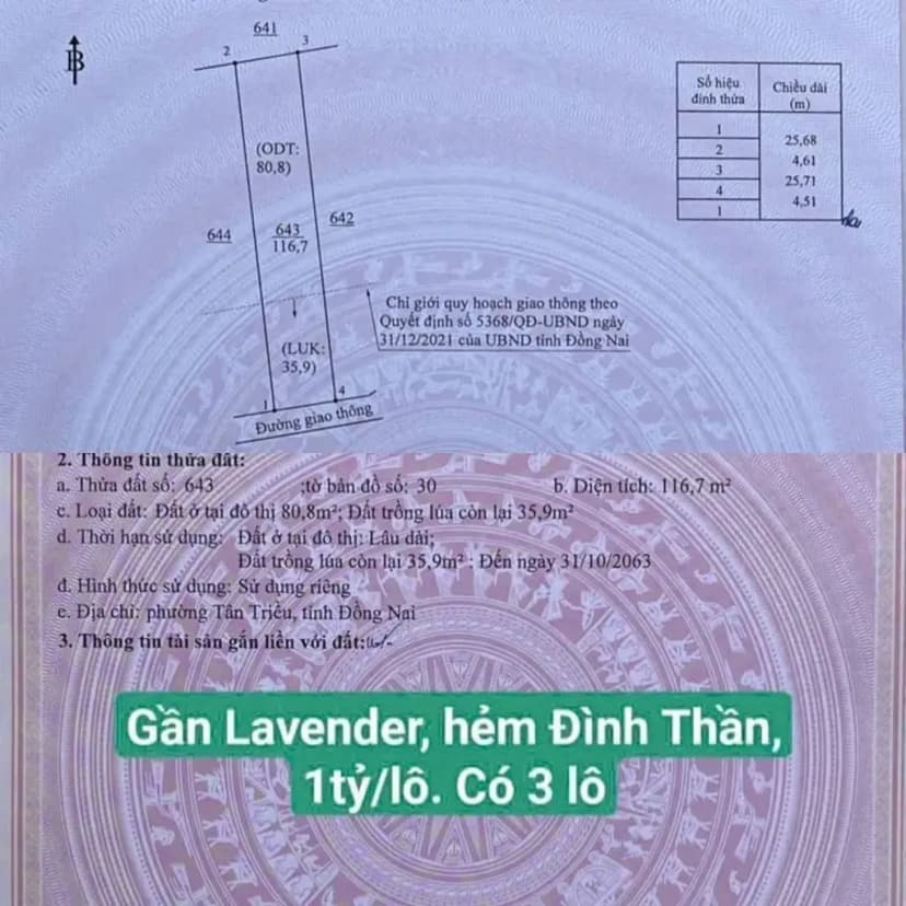 Bán Đất 117m2 có sẵn 81m2 thổ cư giá 1 tỷ tại phường Tân Triều, gần khu Lavender City