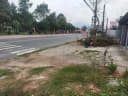 Thumb-BÁN ĐẤT DT 10x30m ( vuông vắn). MẶT TIỀN ĐƯỜNG BỜI LỜI, NGAY TẠI TRUNG TÂM TỈNH TÂY NINH-4
