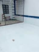 Thumb-Cho thuê Nhà riêng 76m2 giá 5 triệu tại Đường Lê Duẩn - Chọn - Phường Kiến An Hải Phòng-5