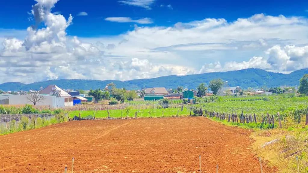 Main-Tổng 1.100m2 có 10m mặt tiền bà huyện thanh quan đức trọng, lâm đồng-4