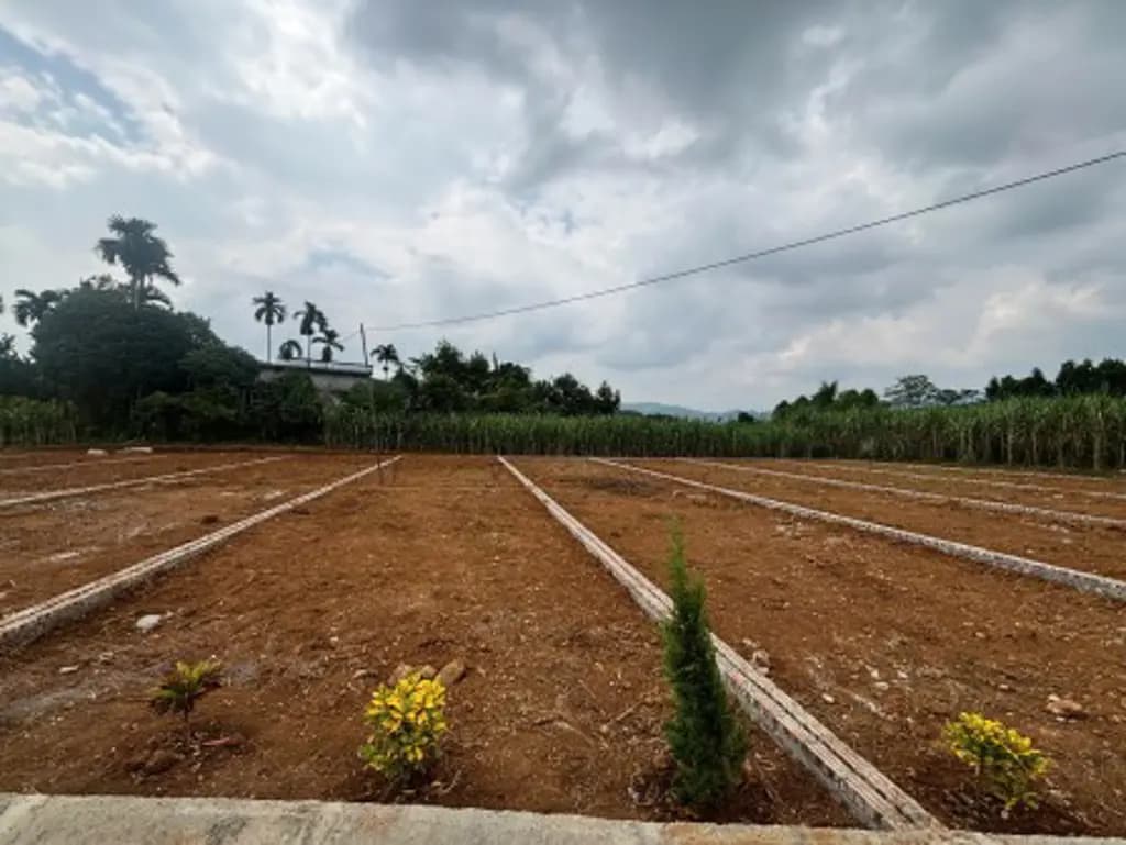 Main-CHỈ 3 TRIỆU ĐẤT THỔ CƯ CAO PHONG - GẦN KCN DŨNG PHONG-5