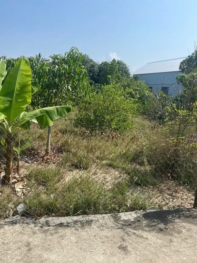 Main-Bán vườn cây ăn trái siêu đẹp ở Diên Thọ , Diên Khánh , Khánh Hoà. DT 733,5m2 có 70m2 thổ cư . Giá 3,4 tỷ bao giấy tờ-6
