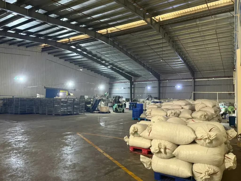 Main-Cho thuê Kho, nhà xưởng 9000m2, Văn phòng 650m2 giá 445 triệu tại Đường DH515 Xã Phước Hoà Huyện Phú Giáo Bình Dương-4