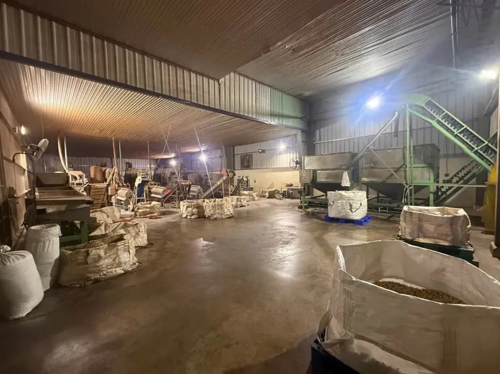 Main-Cho thuê Kho, nhà xưởng 9000m2, Văn phòng 650m2 giá 445 triệu tại Đường DH515 Xã Phước Hoà Huyện Phú Giáo Bình Dương-6