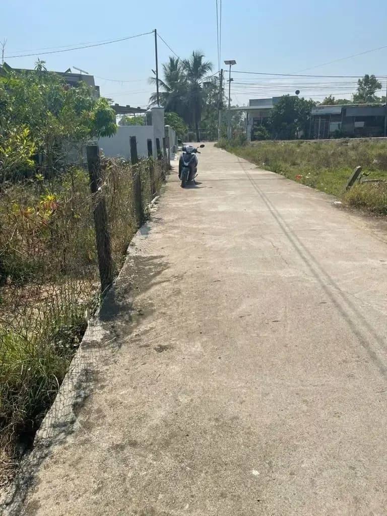 Main-Bán vườn cây ăn trái siêu đẹp ở Diên Thọ , Diên Khánh , Khánh Hoà. DT 733,5m2 có 70m2 thổ cư . Giá 3,4 tỷ bao giấy tờ-4