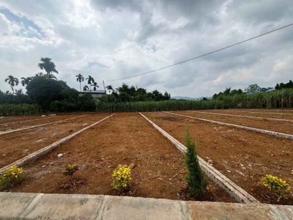 Main-CHỈ 3 TRIỆU ĐẤT THỔ CƯ CAO PHONG - GẦN KCN DŨNG PHONG-6