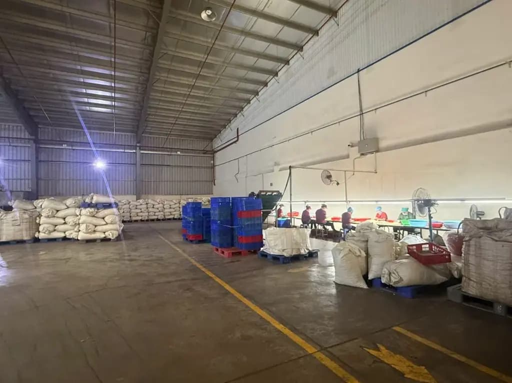 Main-Cho thuê Kho, nhà xưởng 9000m2, Văn phòng 650m2 giá 445 triệu tại Đường DH515 Xã Phước Hoà Huyện Phú Giáo Bình Dương-3