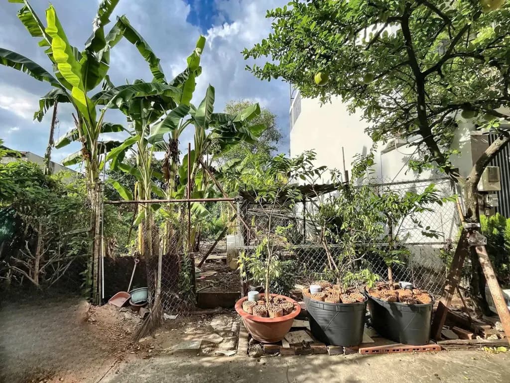 Main-Bán Đất 201m2 tại Đường 2A - Chọn - Phường Hiệp Bình TP. Hồ Chí Minh-6