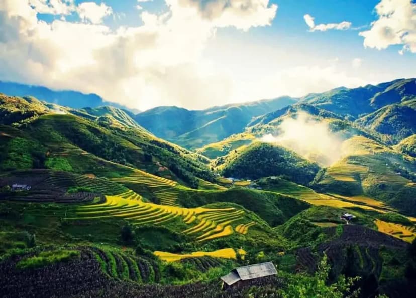 ALPHORA MƯỜNG HOA – TÀI SẢN GIỮA THUNG LŨNG DI SẢN SA PA | GIÁ CHỈ TỪ 11 TỶ ĐỒNG!