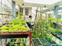 Thumb-Cho thuê Nhà riêng 60m2 giá 16 triệu tại Đường Hoàng Công Phường Kiến Hưng Quận Hà Đông Hà Nội-8