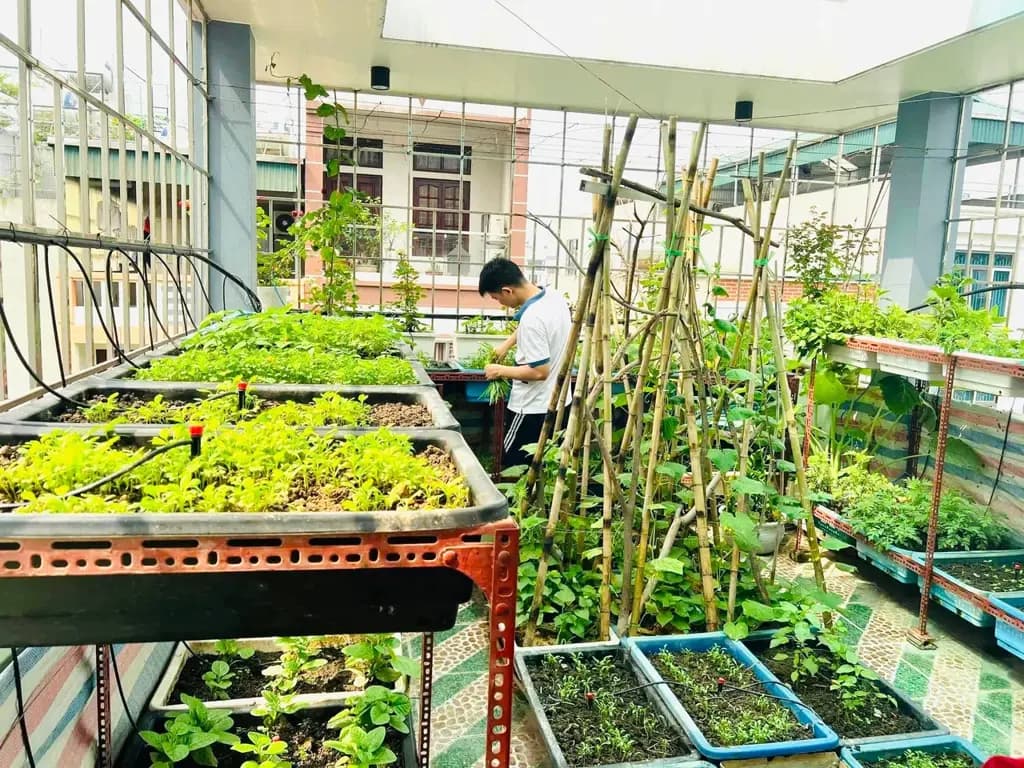 Main-Cho thuê Nhà riêng 60m2 giá 16 triệu tại Đường Hoàng Công Phường Kiến Hưng Quận Hà Đông Hà Nội-7