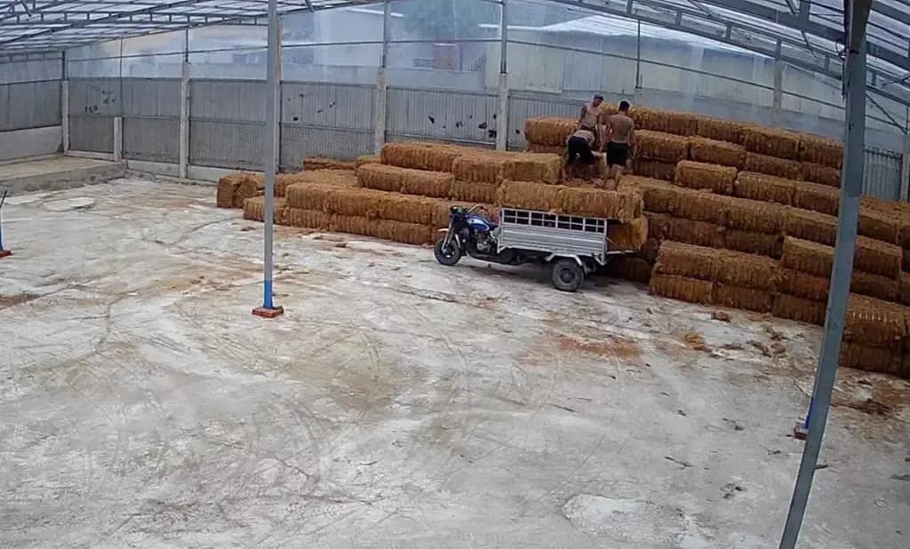 Main-Cho thuê Kho, nhà xưởng 2410m2 giá 25 triệu tại mặt tiền QL60 Huyện Mỏ Cày Nam Bến Tre-0