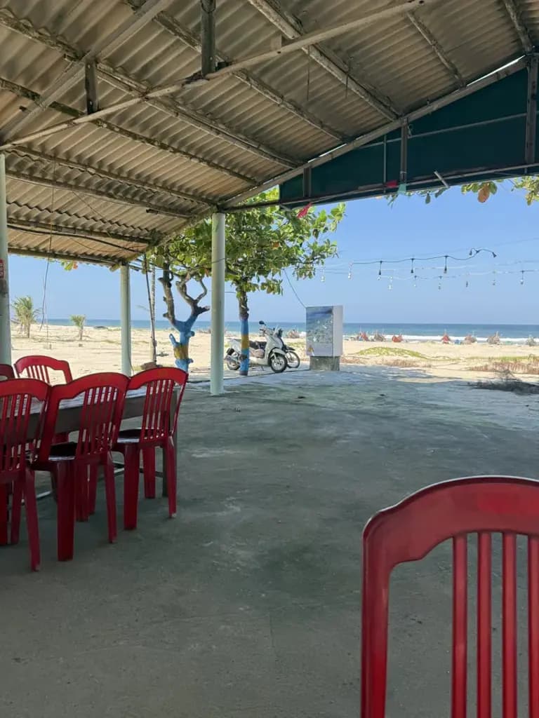 Main-Bán Đất 1200m2 có sẵn 1200 m2 thổ cư giá 2.6 tỷ tại Đường trục dọc kinh tế Triệu Cơ - tiềm năng Xã Triệu Lăng Huyện Triệu Phong Quảng Trị-5