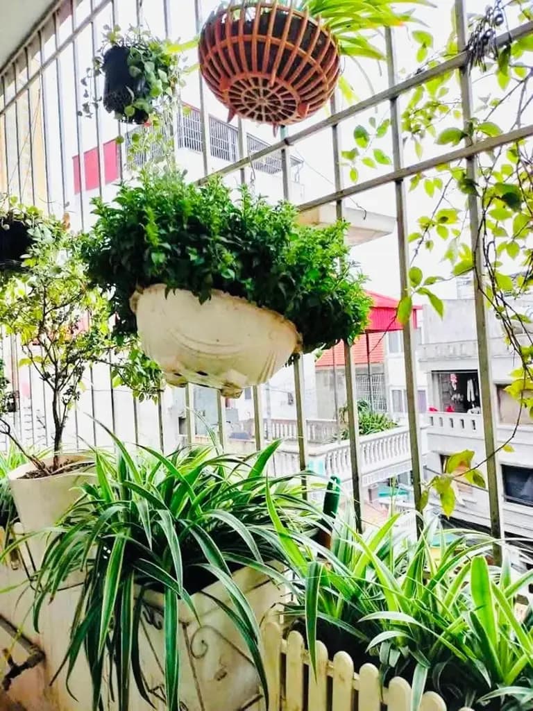 Main-Cho thuê Nhà riêng 35m2 giá 8 triệu tại Đường Hoàng Công Phường Kiến Hưng Quận Hà Đông Hà Nội-6