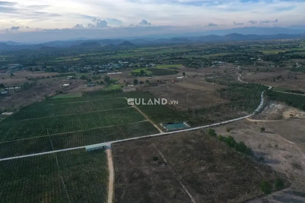 Main-Bán Vườn Thanh Long diện tích 430000m² - 105 tỷ tại Xã Hồng Liêm Huyện Hàm Thuận Bắc-7