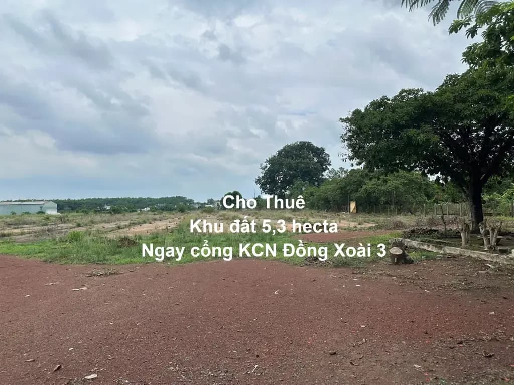 Main-Còn thương lượng khi gặp khách thiện chí. Cho thuê Kho, nhà xưởng 2000m2. Diện tích đất 5,2 hecta-1