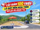 Thumb-Mua trước tết nay cần tiền bán lỗ, anh chị nào thiện chí làm việc chính chủ-1