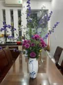Thumb-Cho thuê Nhà riêng 70m2 giá 12 triệu tại Đường Bạch Đằng Phường Thượng Lý Quận Hồng Bàng Hải Phòng-1