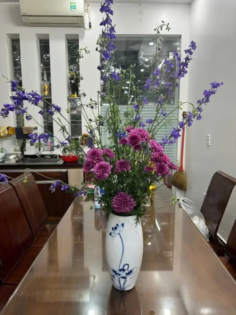 Main-Cho thuê Nhà riêng 70m2 giá 12 triệu tại Đường Bạch Đằng Phường Thượng Lý Quận Hồng Bàng Hải Phòng-0