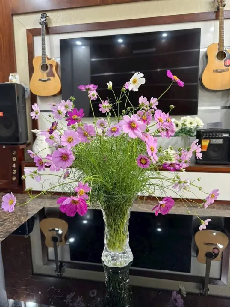 Main-Cho thuê Nhà riêng 70m2 giá 12 triệu tại Đường Bạch Đằng Phường Thượng Lý Quận Hồng Bàng Hải Phòng-8